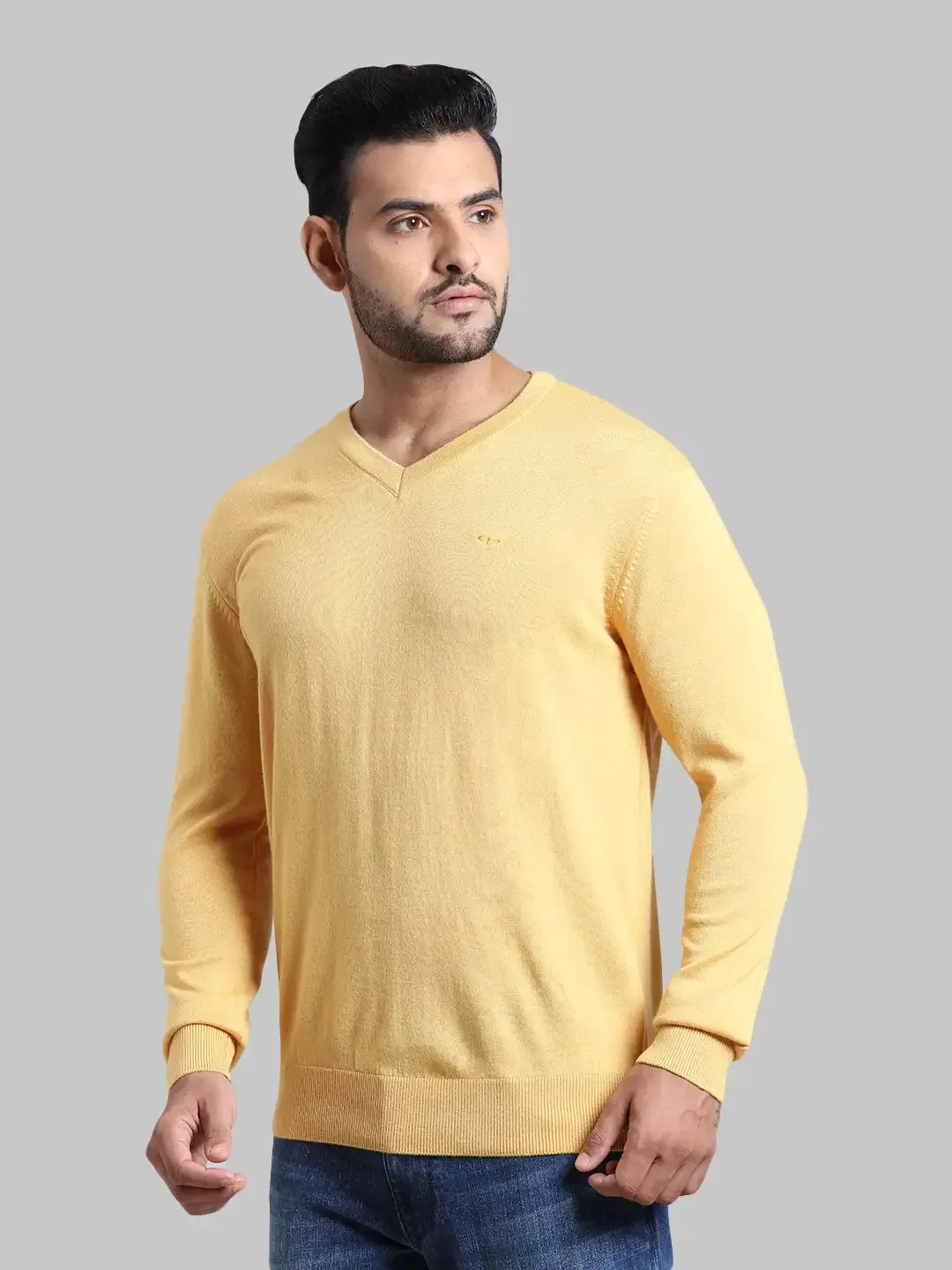 Men Yellow Tailored Fit Solid Wool Blend Full Sleeve V Neck Collar Sweaters