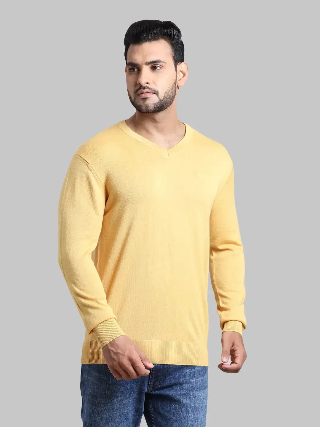 Men Yellow Tailored Fit Solid Wool Blend Full Sleeve V Neck Collar Sweaters