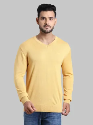 Men Yellow Tailored Fit Solid Wool Blend Full Sleeve V Neck Collar Sweaters