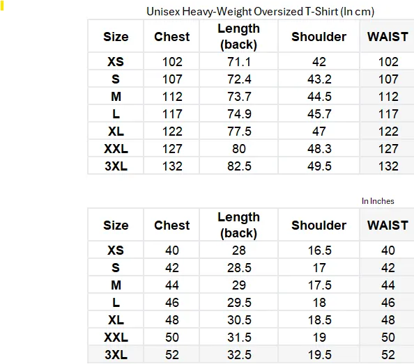 Unisex Heavyweight Oversized T-Shirts